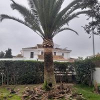 MILJARAS JARDINERÍA Y FORESTAL