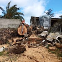 MILJARAS JARDINERÍA Y FORESTAL