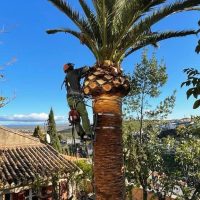 MILJARAS JARDINERÍA Y FORESTAL